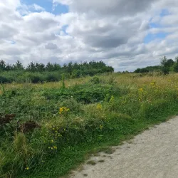 Milton Creek Country Park - Sittingbourne