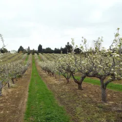 Sittingbourne Golf Club - Sittingbourne