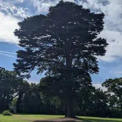 Baylis Park - Slough