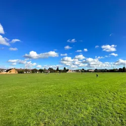 Baylis Park - Slough