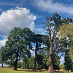 Baylis Park - Slough