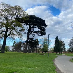 Baylis Park - Slough