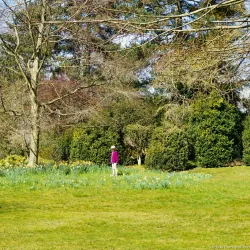 Baylis Park - Slough