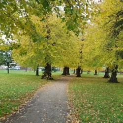 Baylis Park - Slough