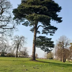 Baylis Park - Slough