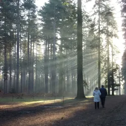 Black Park Country Park - Slough