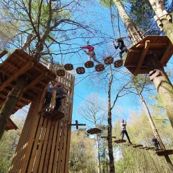 Black Park Country Park - Slough