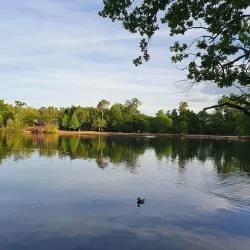 Black Park Country Park - Slough