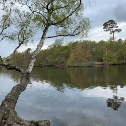 Black Park Country Park - Slough