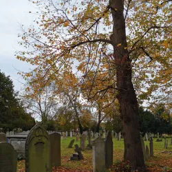 St. Mary’s Church - Slough