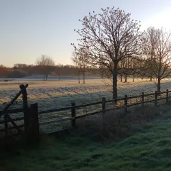 Wexham Park Hospital Gardens - Slough