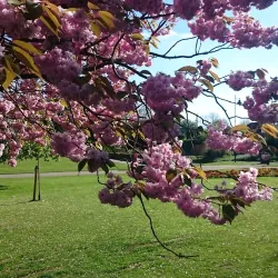 Brueton Park Nature Reserve - Solihull
