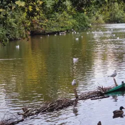 Brueton Park Nature Reserve - Solihull
