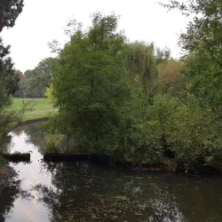 Brueton Park Nature Reserve - Solihull