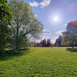 Brueton Park Nature Reserve - Solihull