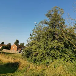 Elmdon Park - Solihull