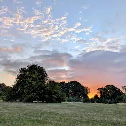 Elmdon Park - Solihull