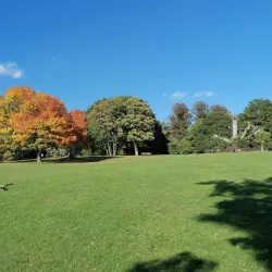 Elmdon Park - Solihull