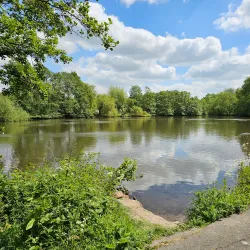 Elmdon Park - Solihull