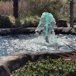 Knowle and Dorridge Golf Club - Solihull