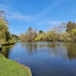 Malvern and Brueton Park - Solihull