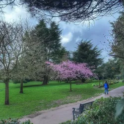 Clarence Park - St Albans