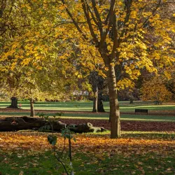 Clarence Park - St Albans