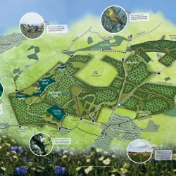 Heartwood Forest - St Albans