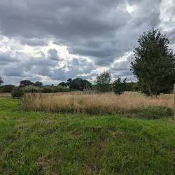 Heartwood Forest - St Albans