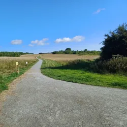 Heartwood Forest - St Albans