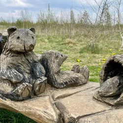 Heartwood Forest - St Albans