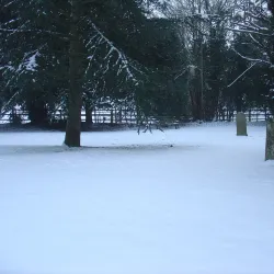 St Michael's Church - St Albans