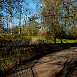 St Michael's Church - St Albans