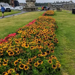 Old Course at St Andrews - St. Andrews