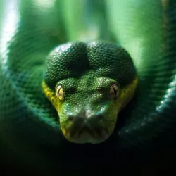 St Andrews Aquarium - St. Andrews