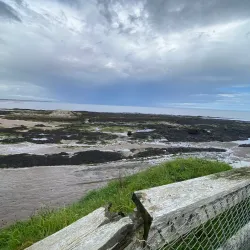St Andrews Aquarium - St. Andrews