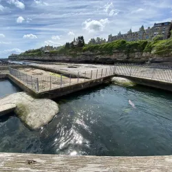 St Andrews Aquarium - St. Andrews