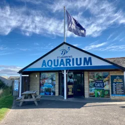 St Andrews Aquarium - St. Andrews