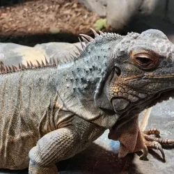 St Andrews Aquarium - St. Andrews