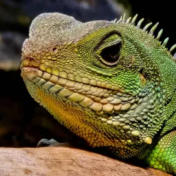 St Andrews Aquarium - St. Andrews