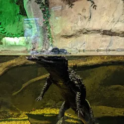 St Andrews Aquarium - St. Andrews