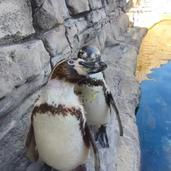 St Andrews Aquarium - St. Andrews