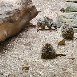 St Andrews Aquarium - St. Andrews