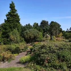 St Andrews Botanic Garden - St. Andrews