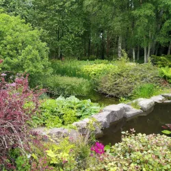 St Andrews Botanic Garden - St. Andrews