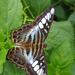 St Andrews Botanic Garden - St. Andrews