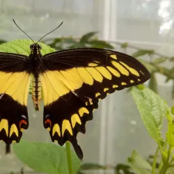 St Andrews Botanic Garden - St. Andrews