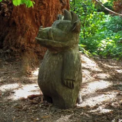 St Andrews Botanic Garden - St. Andrews