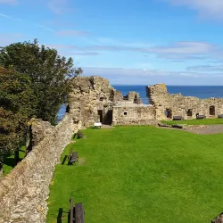 St Andrews Castle - St. Andrews