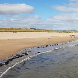 West Sands Beach - St. Andrews